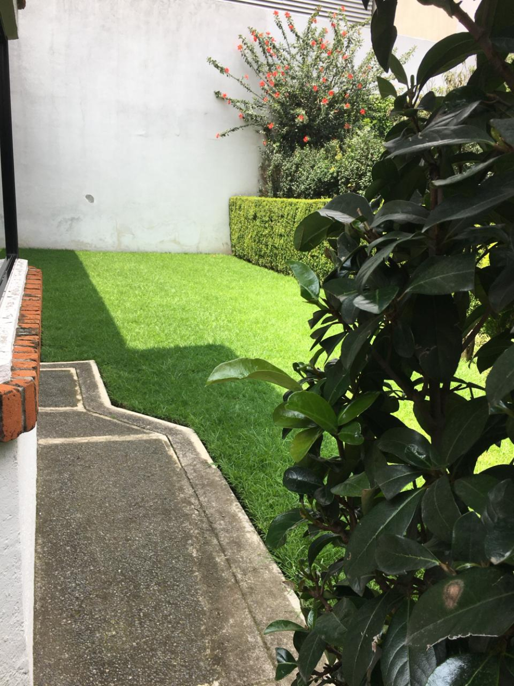 Casa En Condominio En Renta En Ampliación Alpes
