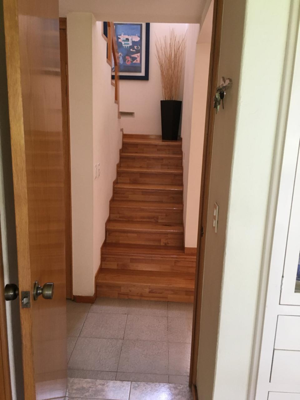 Casa En Condominio En Renta En Ampliación Alpes