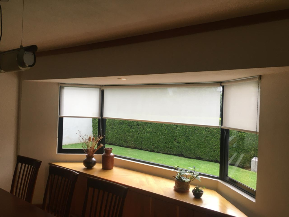 Casa En Condominio En Renta En Ampliación Alpes
