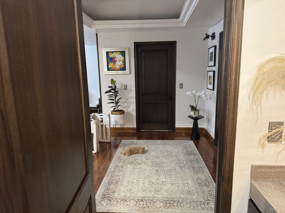 departamento en  venta,  bosque real