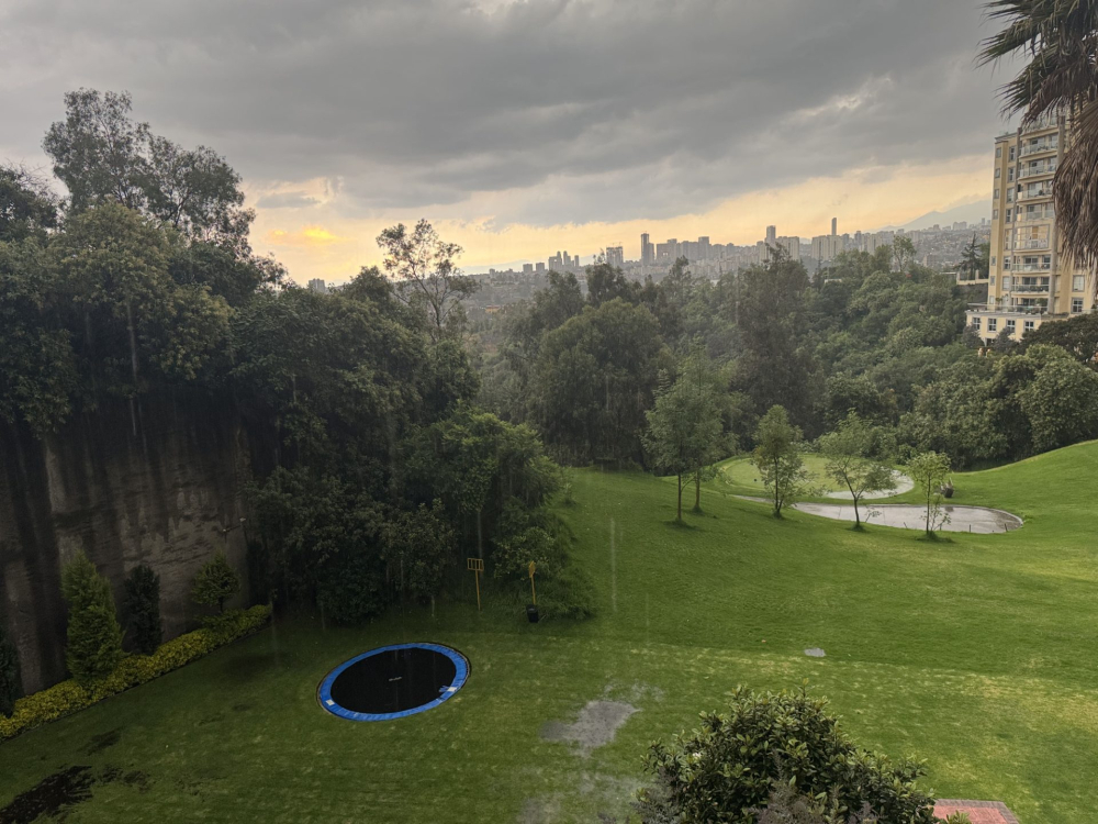 departamento en  venta,  bosque real