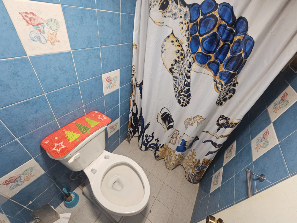 departamento en venta en pedregal de carrasco