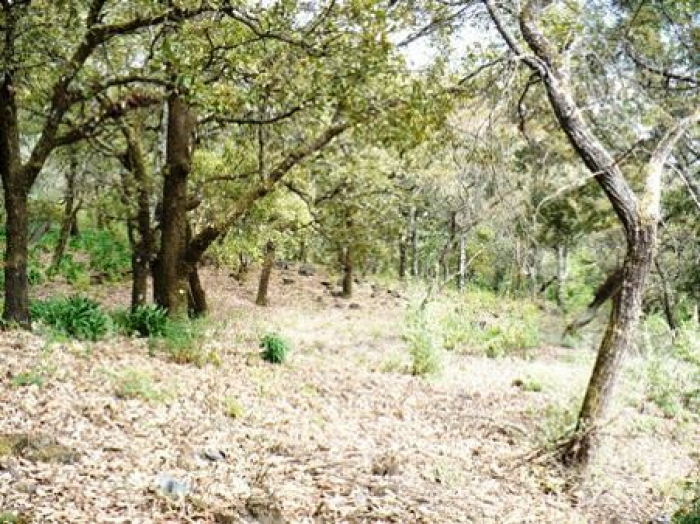 terreno en venta en tepoztlán