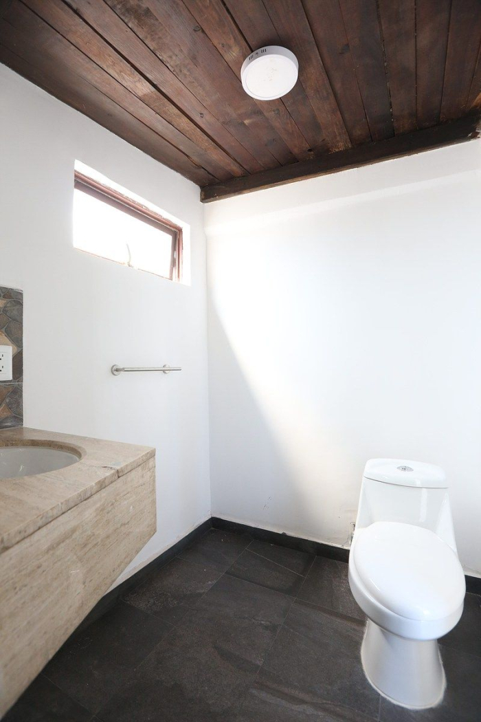  Renta De Departamento Loft En La Condesa