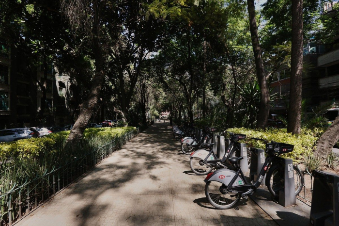  Renta De Departamento Loft En La Condesa