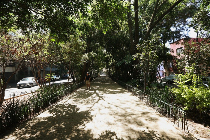  Renta De Departamento Loft En La Condesa