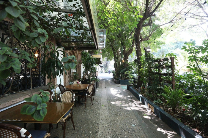  Renta De Departamento Loft En La Condesa