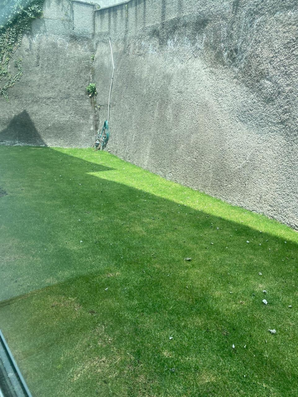 Departamento En Venta En Palo Solo