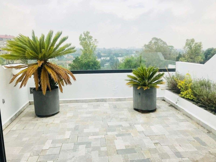 Departamento En Renta En Lomas De Chapultepec