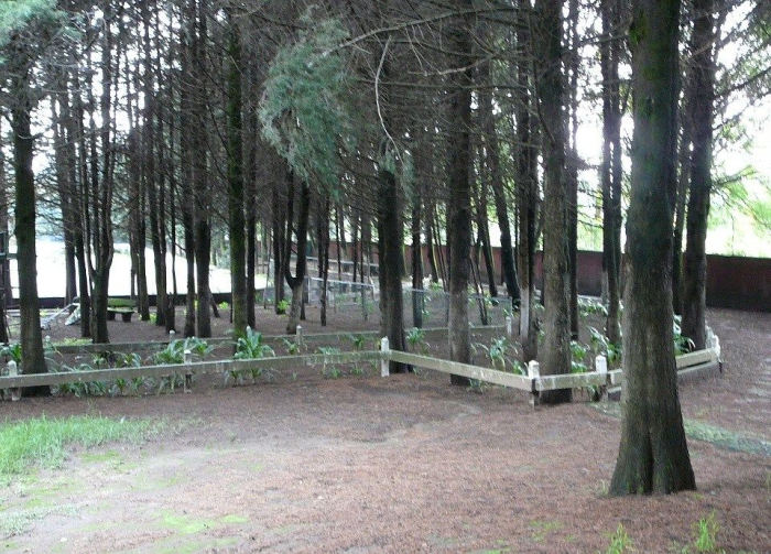 Terreno En Venta En Hacienda Jajalpa. Terreno Comercial Y Habitacional. Carretera México Toluca. 