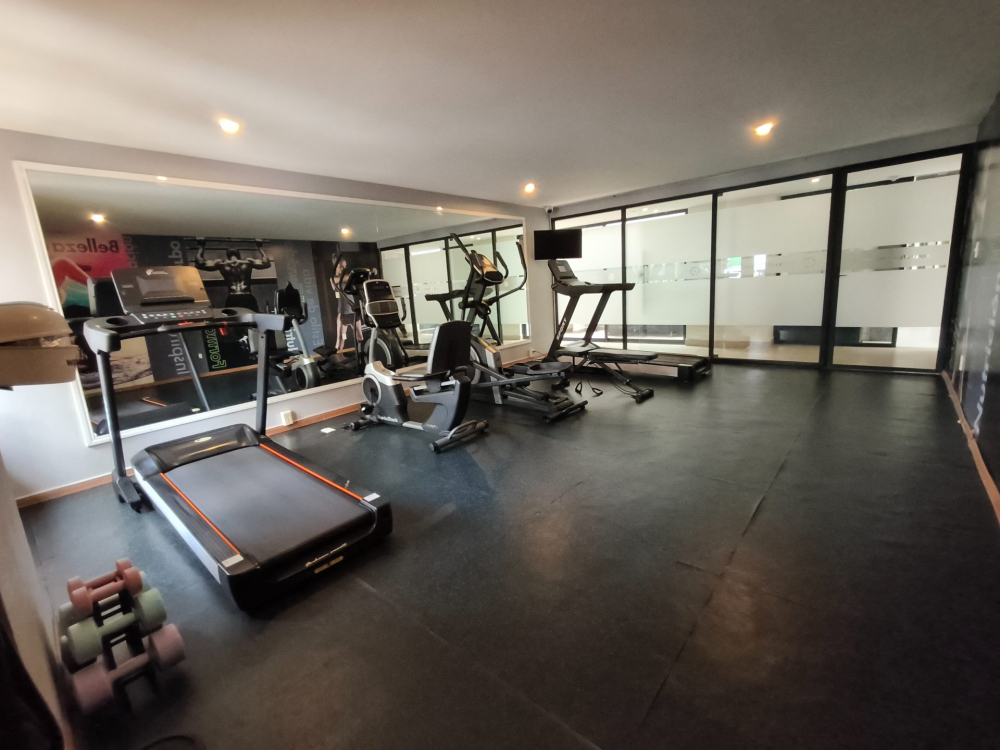departamento con roof garden privado en quinto piso en col.san rafael