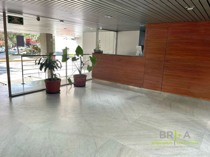 oficina en renta en la condesa, nuevo león, cuahutémoc