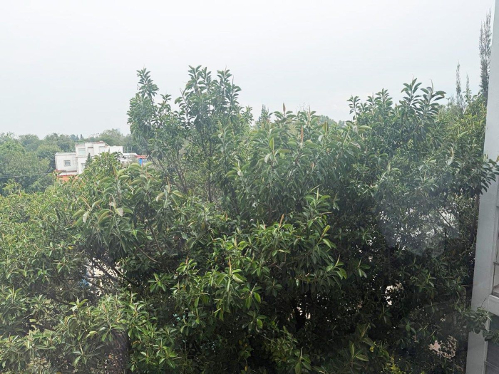 departamento en venta en las lomas