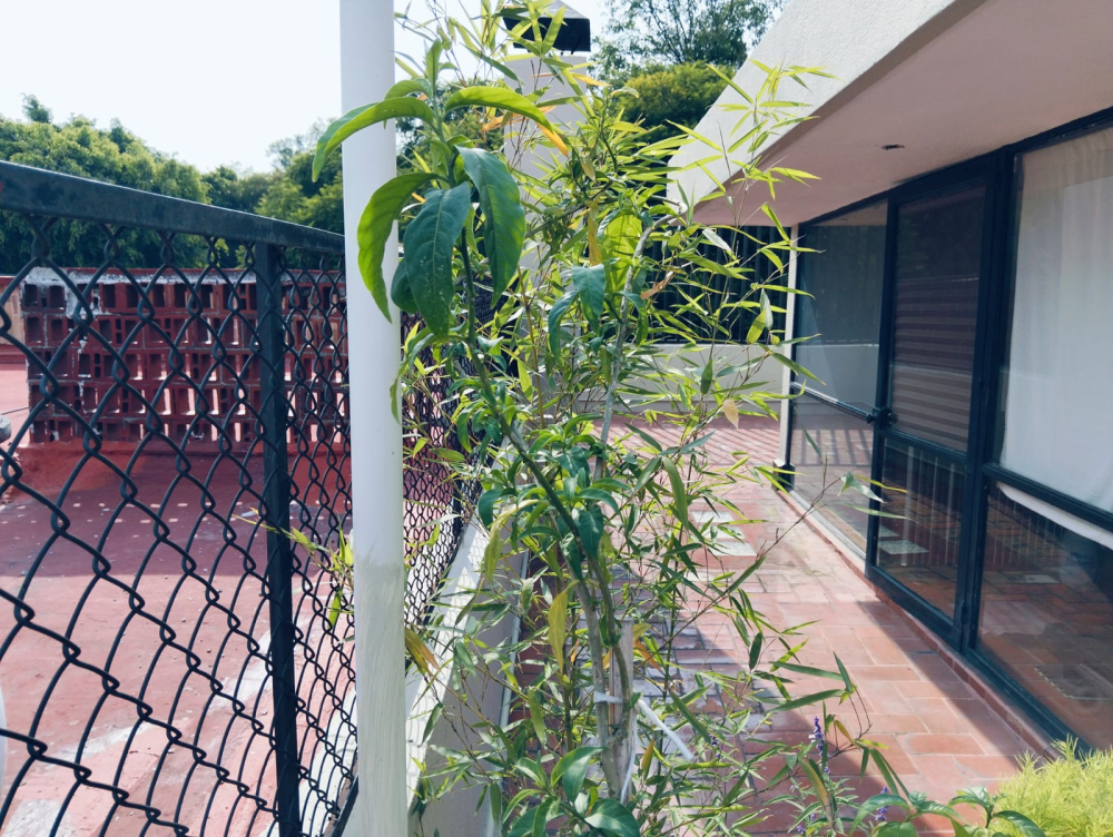 Casa En Venta En Las Águilas