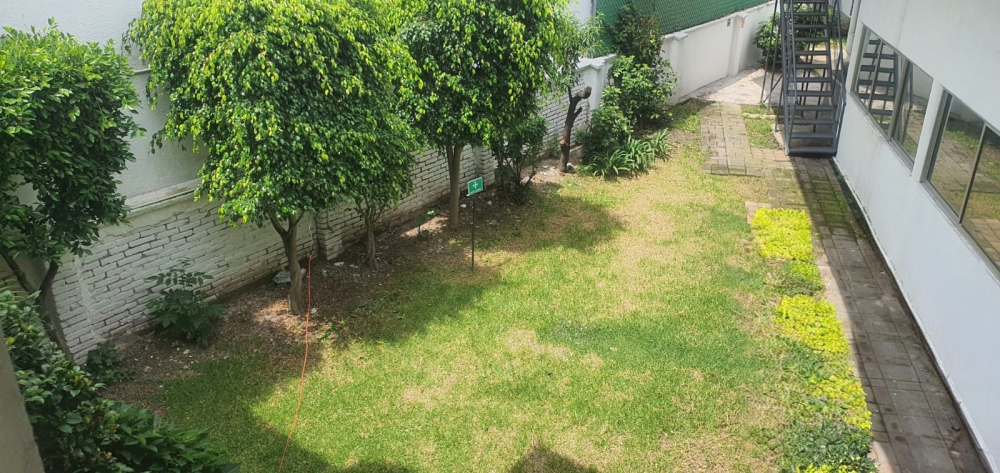 Casa En Renta Para Oficinas En Anzures 
