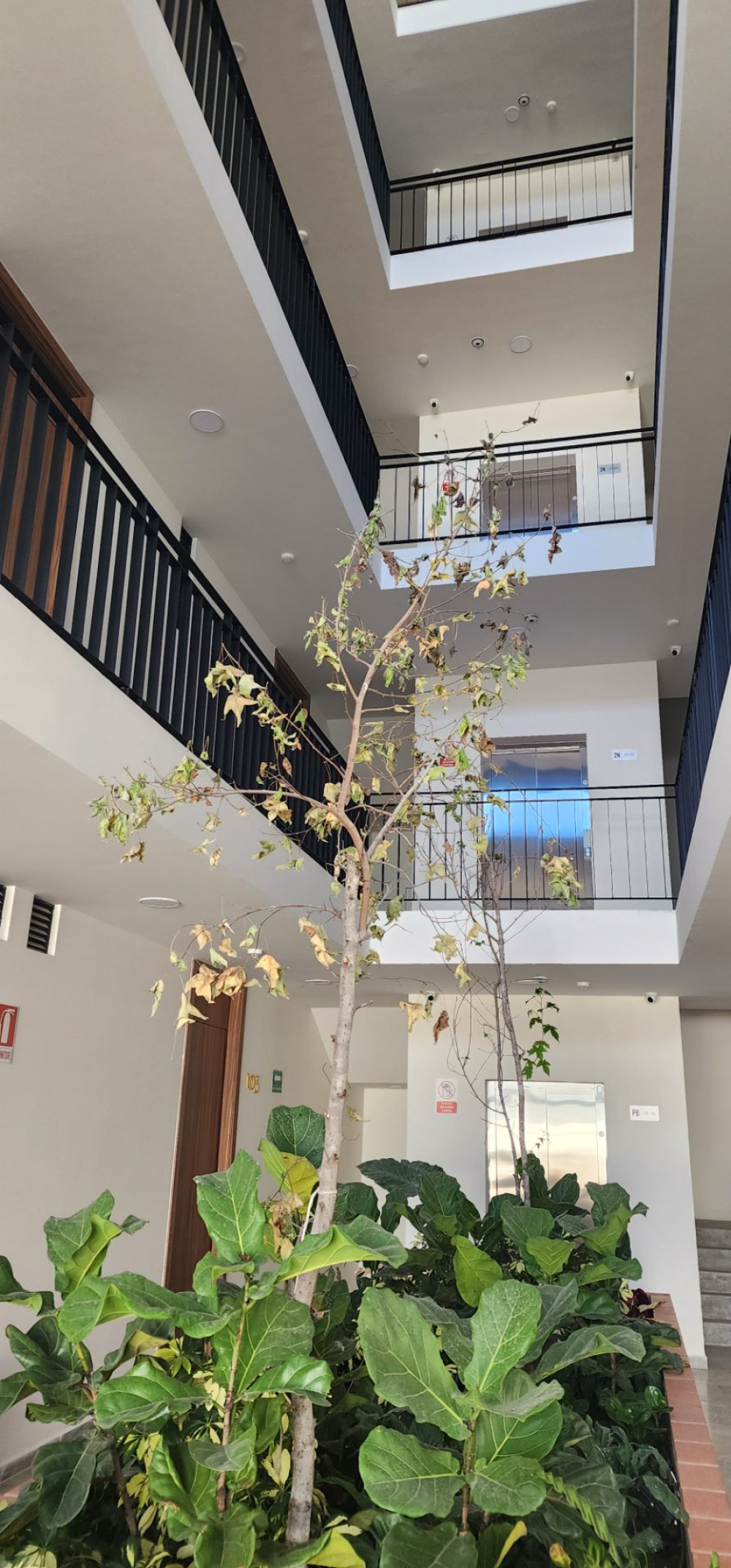 Departamento En Venta En Ciudad  Granja