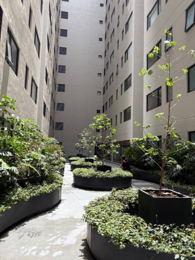 DEPARTAMENTO EN Renta EN BOSQUES DE LAS LOMAS CON TERRAZA