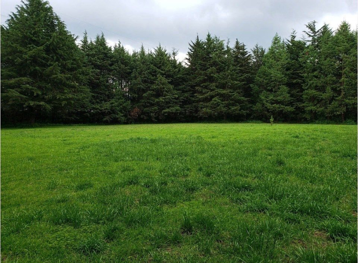Jajalpa, Ocoyoacac, terreno en venta