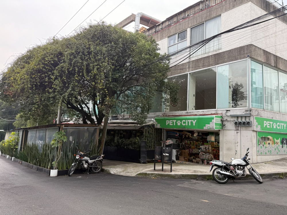 EXCELENTE LOCAL COMERCIAL EN LAS LOMAS DE CHAPULTEPEC.