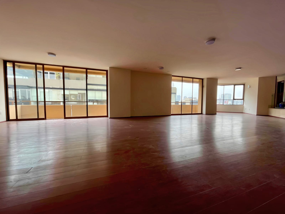 departamento en renta en homero polanco