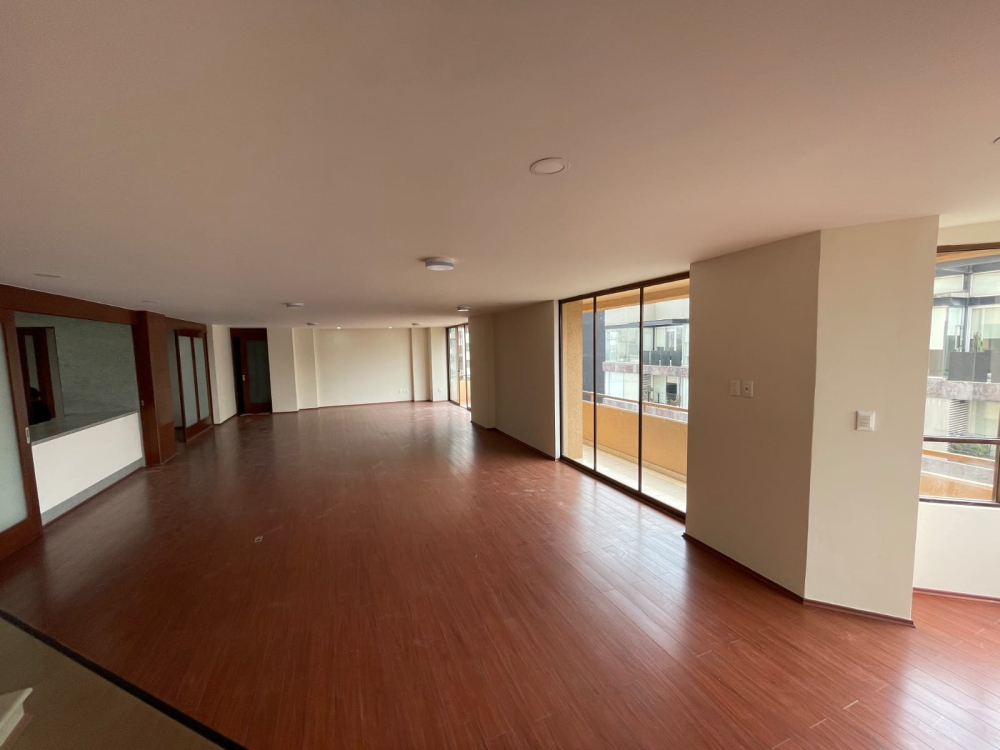 departamento en renta en homero polanco