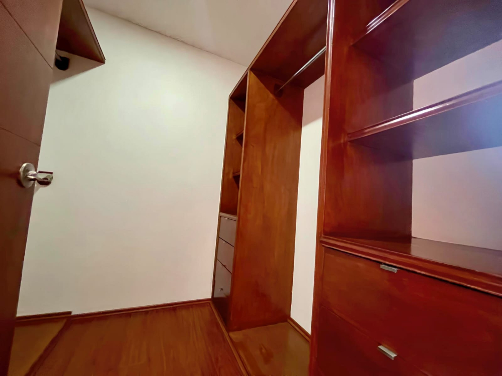 departamento en renta en homero polanco