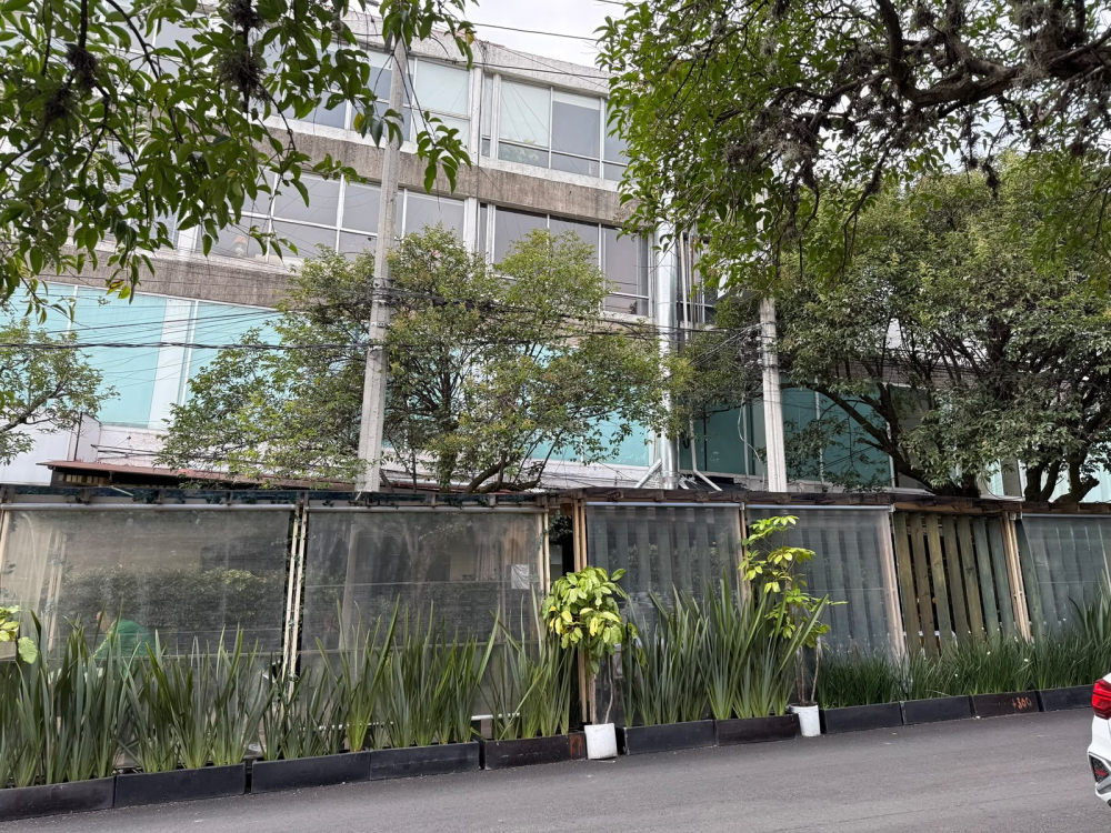 local comercial en renta en lomas de chapultepec barrilaco