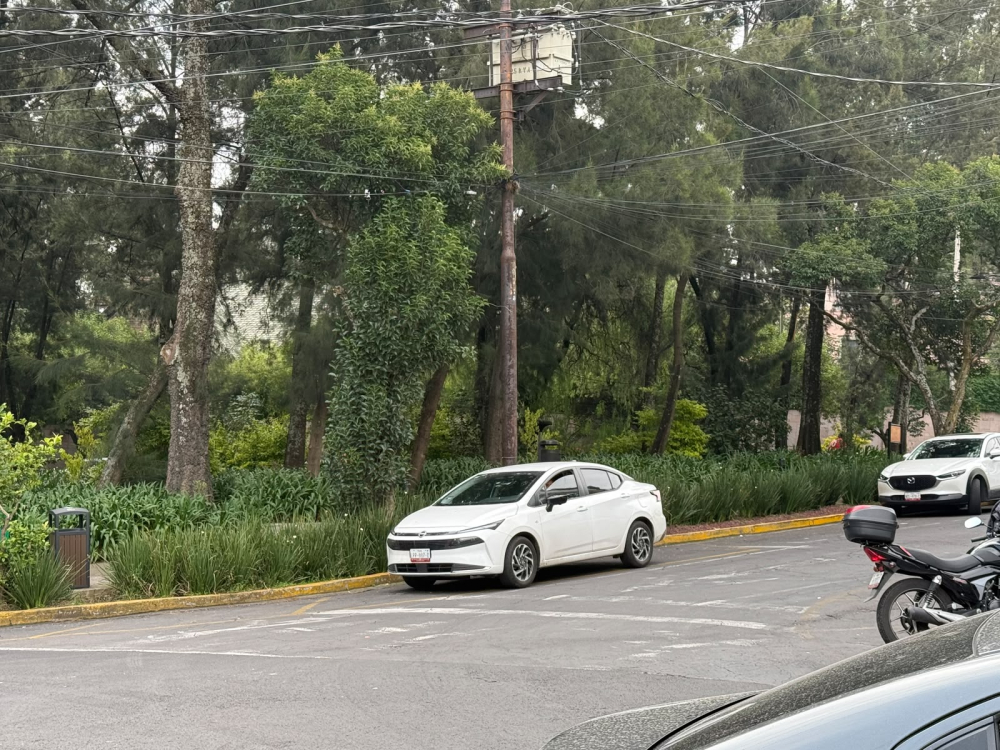 local comercial en renta en lomas de chapultepec barrilaco