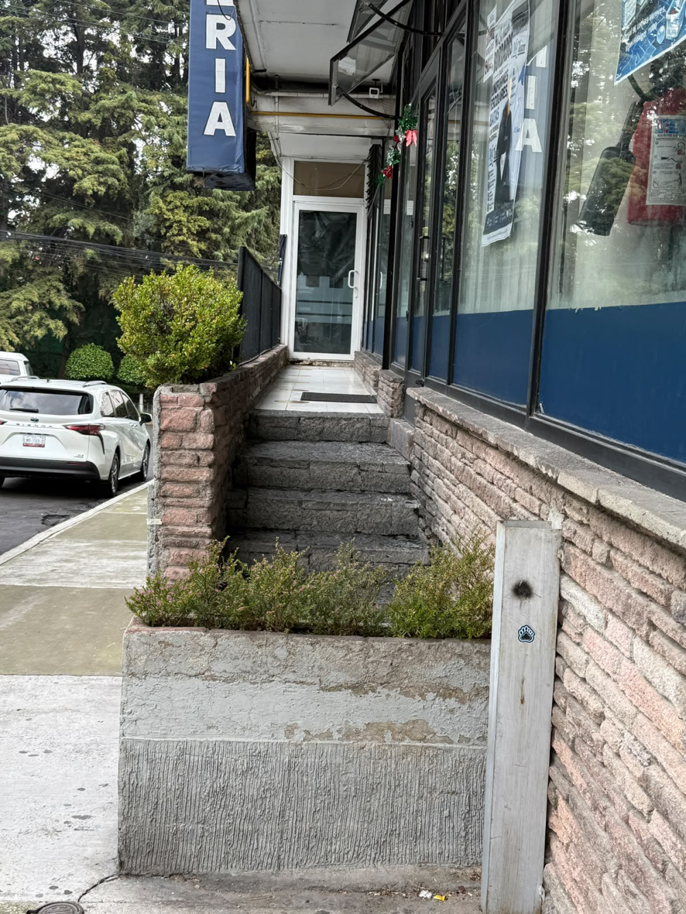 local comercial en renta en lomas de chapultepec barrilaco