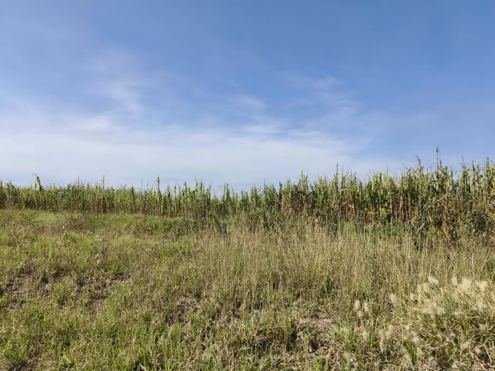 terreno en venta en  san bartolo zumpango