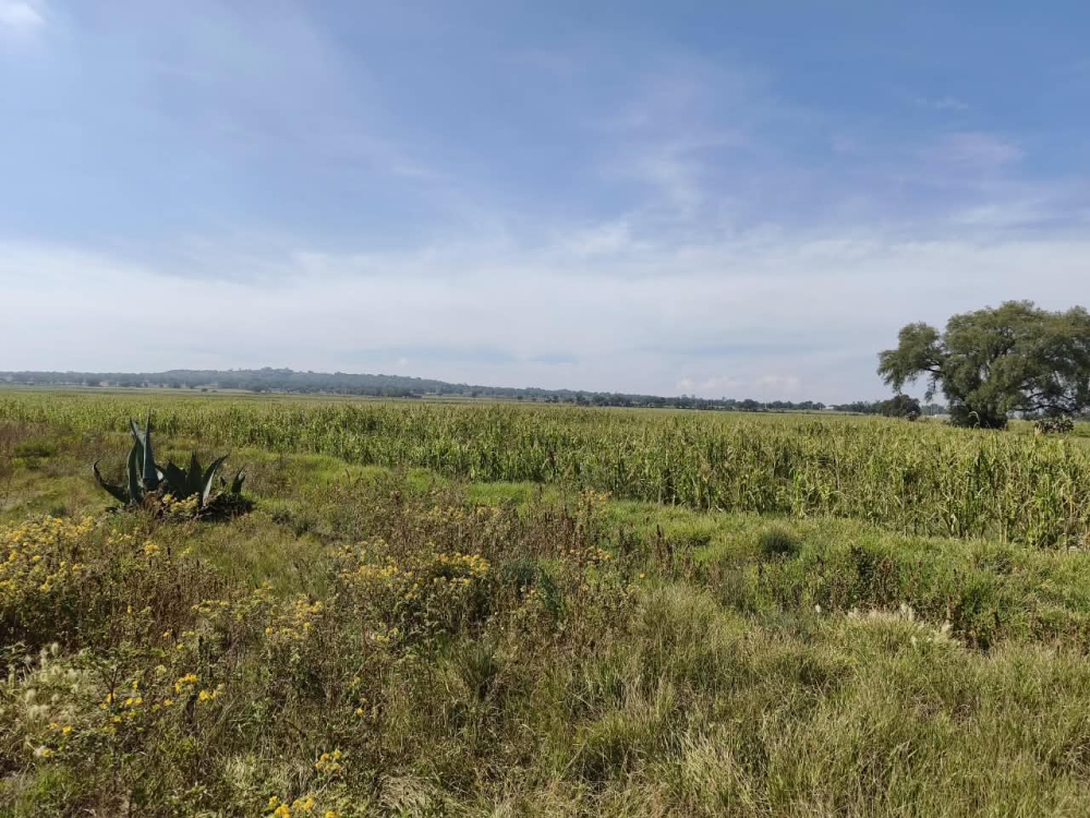 terreno en venta en  san bartolo zumpango