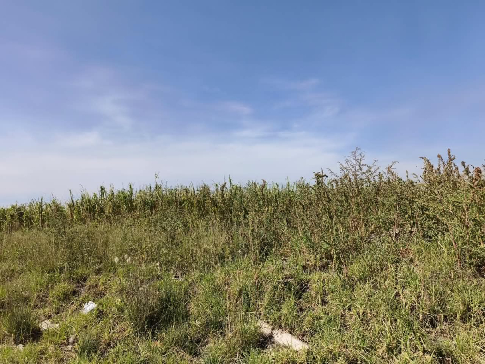 terreno en venta en  san bartolo zumpango