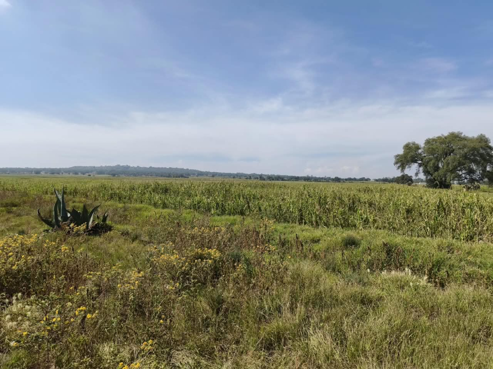 terreno en venta en  san bartolo zumpango