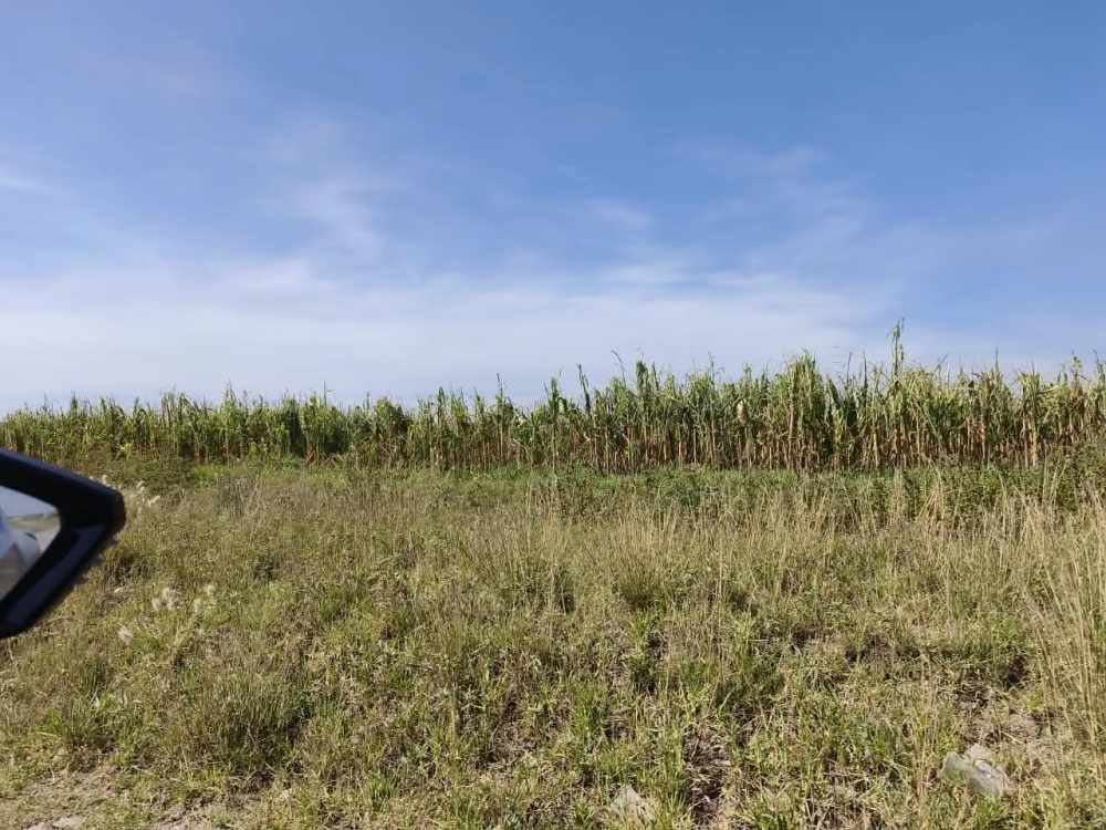 terreno en venta en  san bartolo zumpango