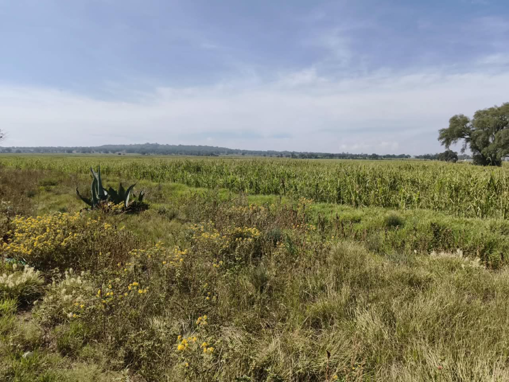terreno en venta en  san bartolo zumpango
