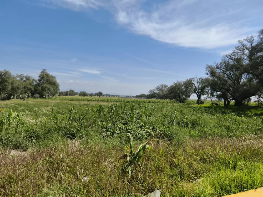 terreno en venta en  san bartolo zumpango
