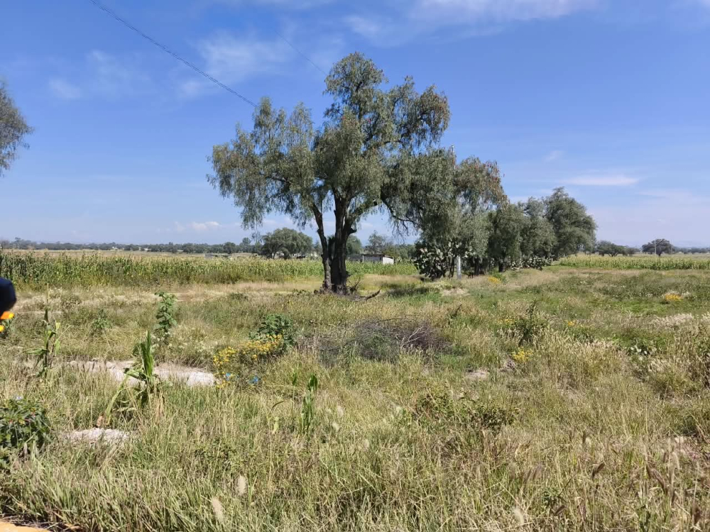 terreno en venta en  san bartolo zumpango