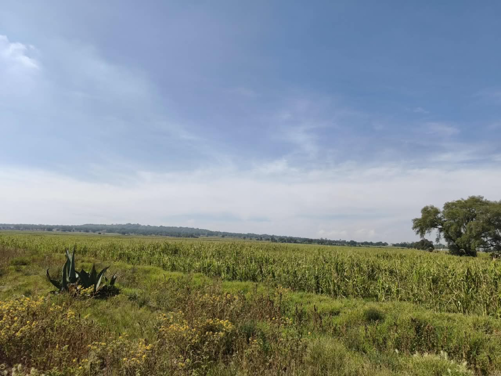 terreno en venta en  san bartolo zumpango