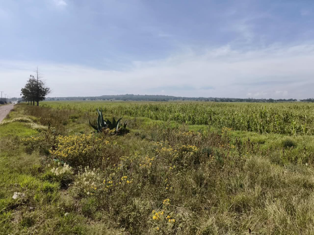 terreno en venta en  san bartolo zumpango
