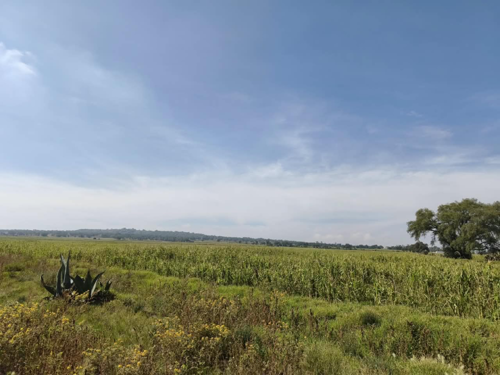 terreno en venta en  san bartolo zumpango