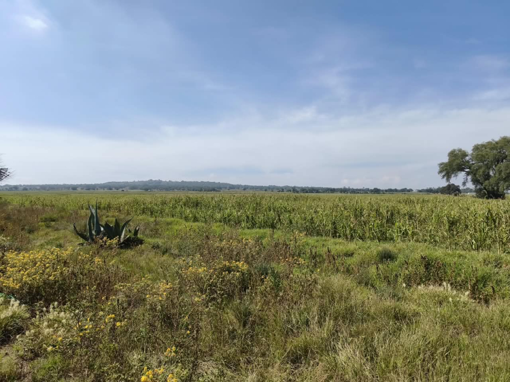 terreno en venta en  san bartolo zumpango