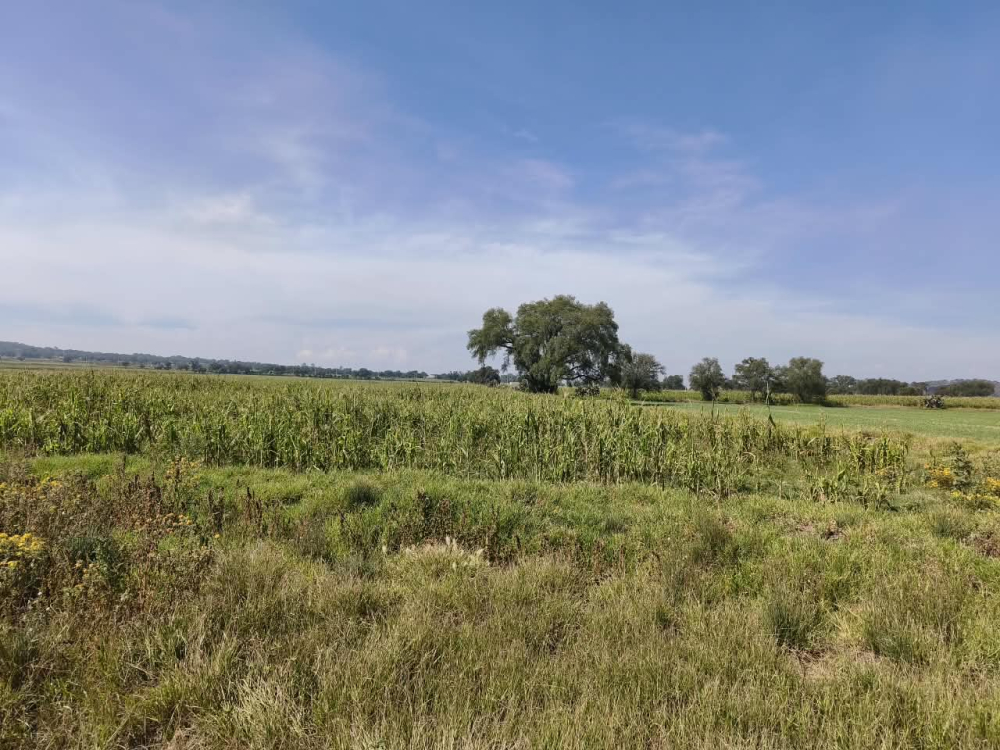terreno en venta en  san bartolo zumpango