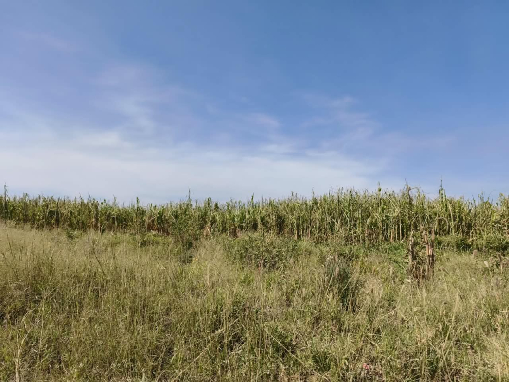 terreno en venta en  san bartolo zumpango