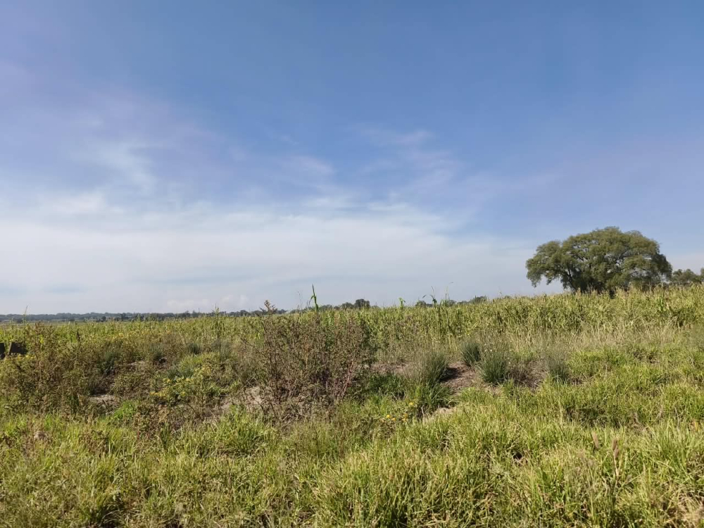 terreno en venta en  san bartolo zumpango