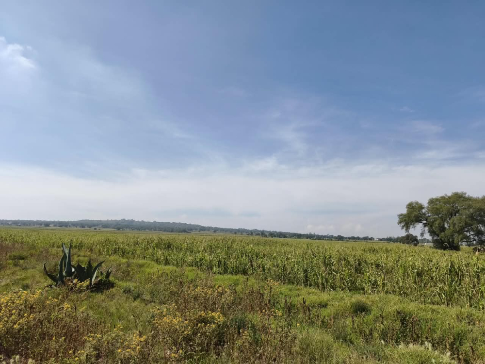 terreno en venta en  san bartolo zumpango