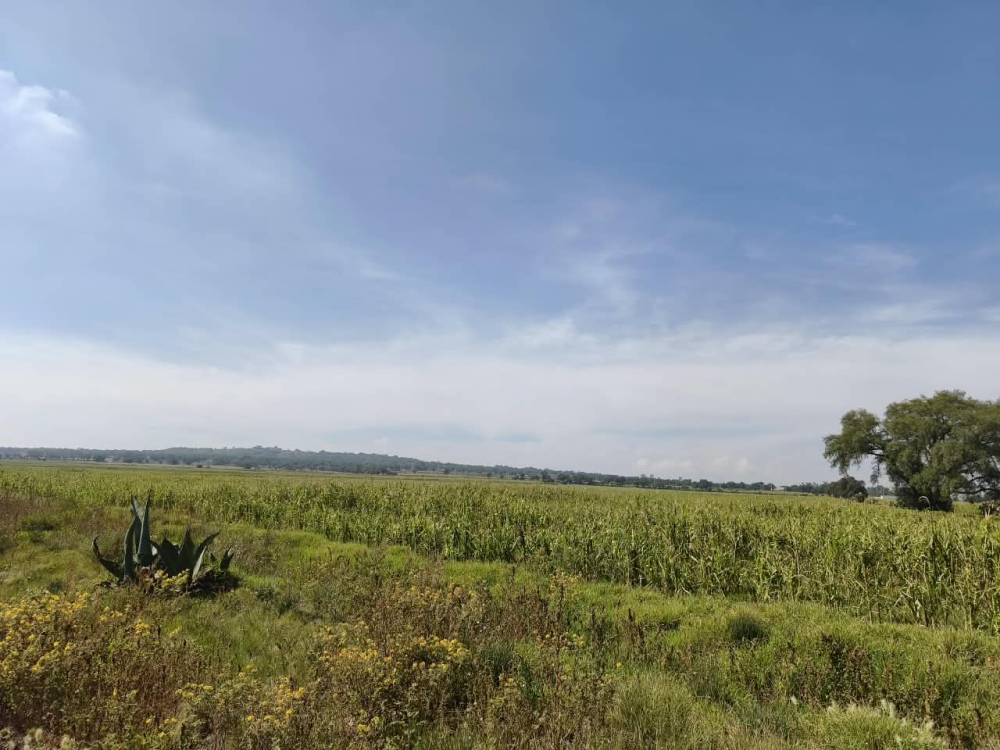 terreno en venta en  san bartolo zumpango