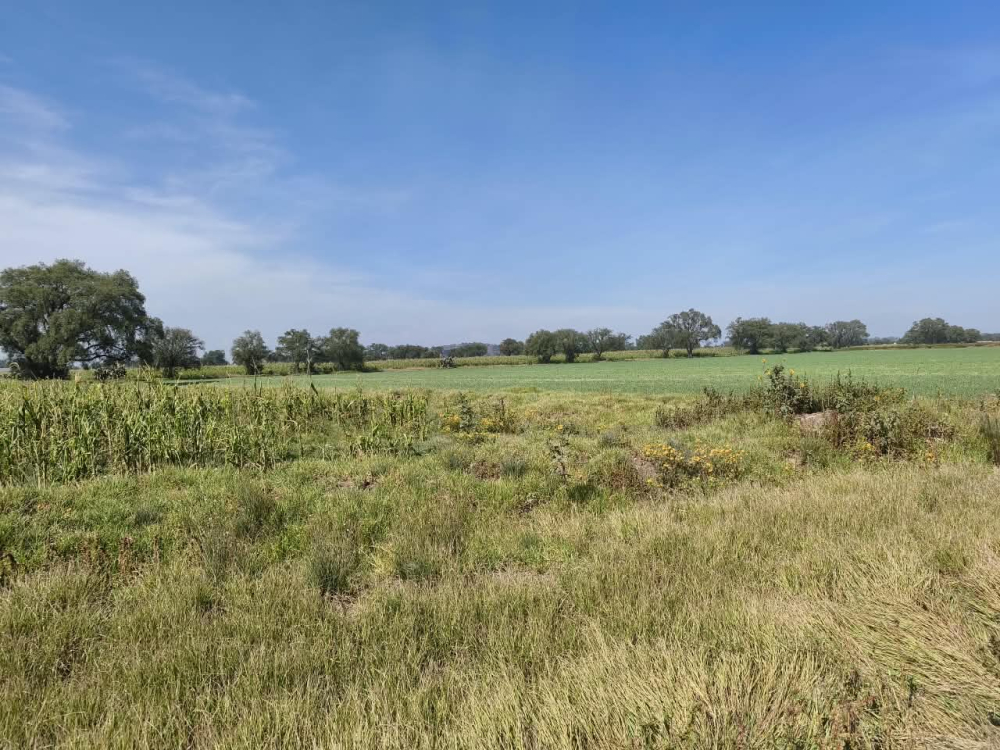 terreno en venta en  san bartolo zumpango