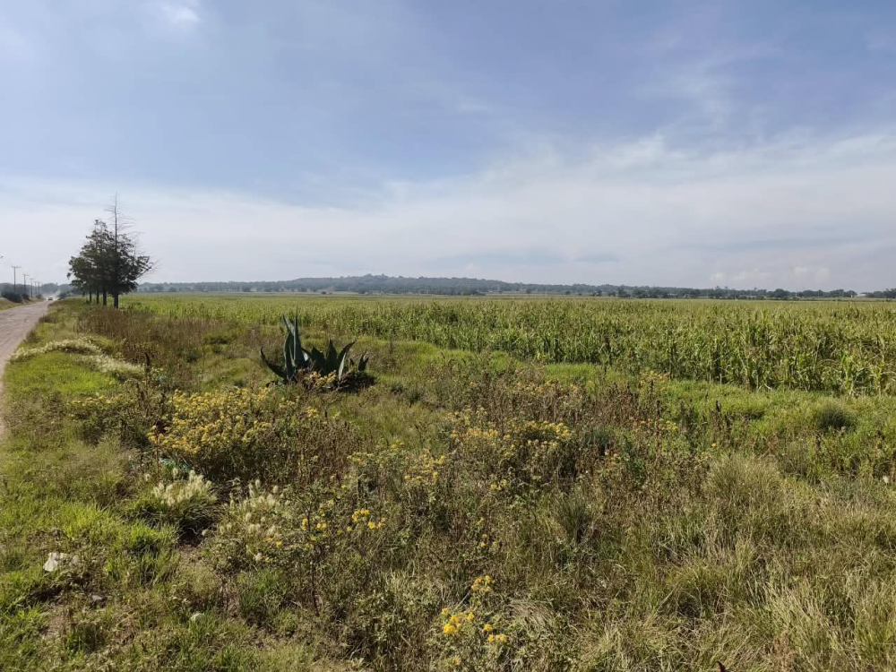 terreno en venta en  san bartolo zumpango