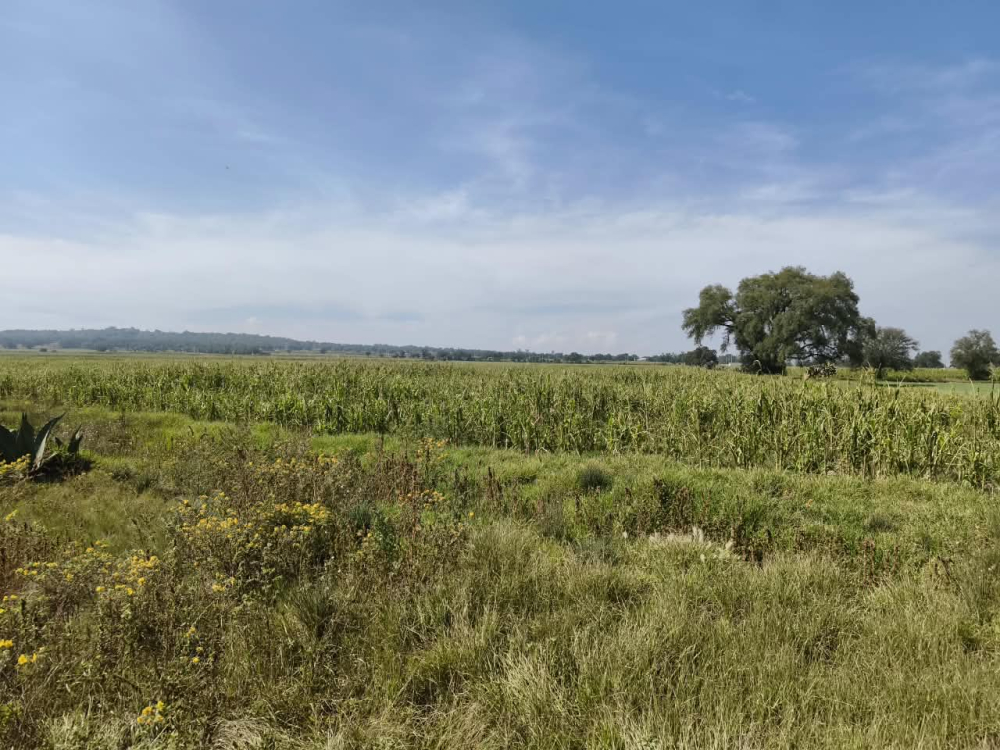 terreno en venta en  san bartolo zumpango