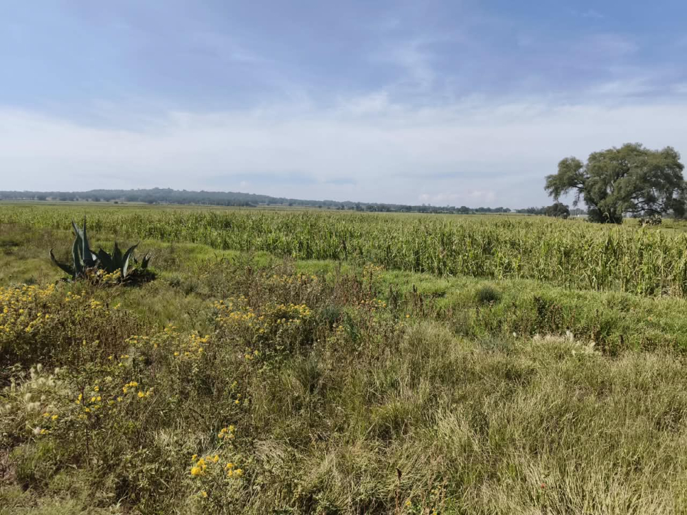 terreno en venta en  san bartolo zumpango